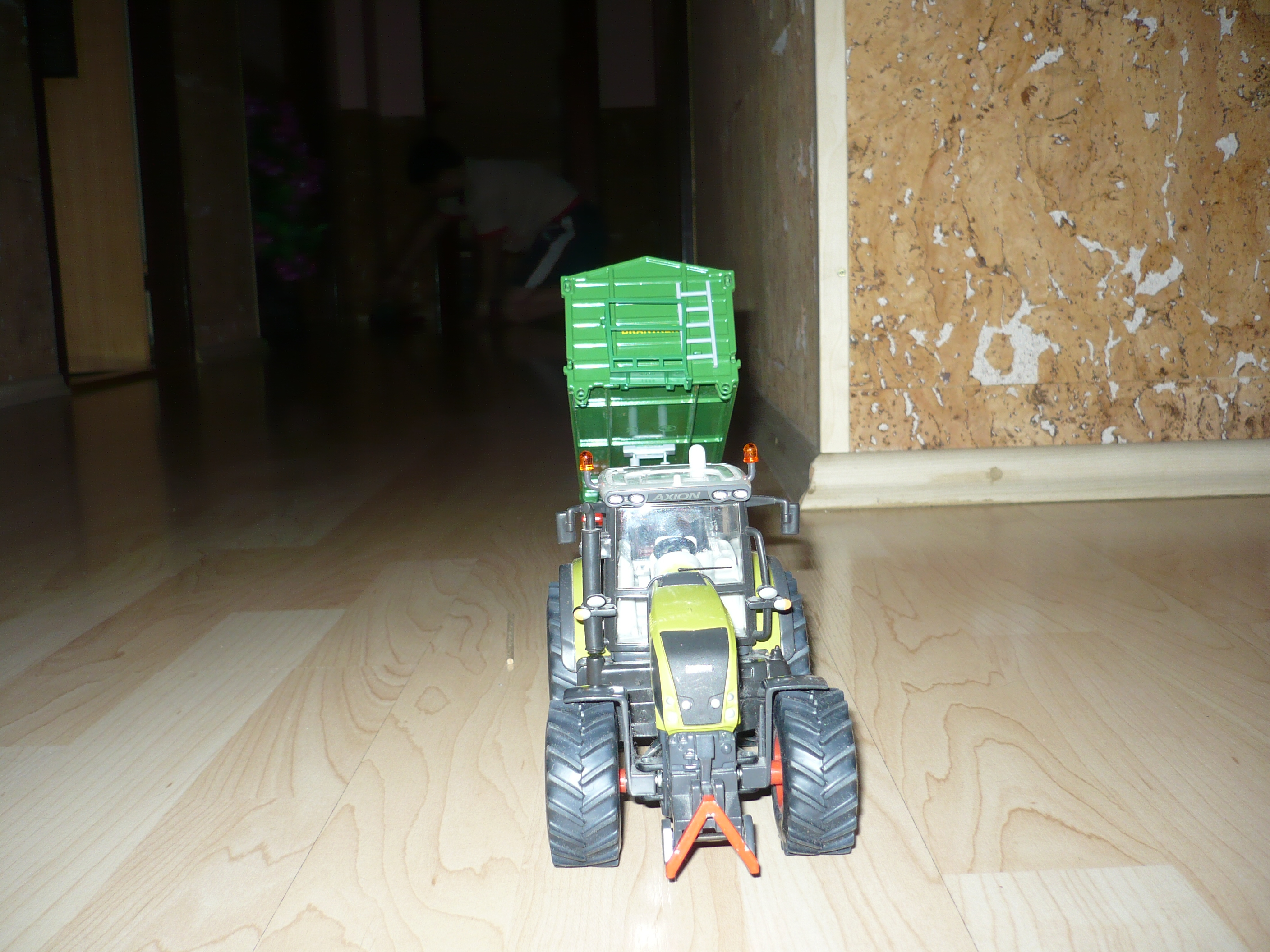 P1000726.JPG